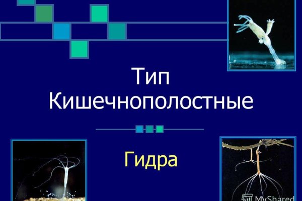 Войти даркнет