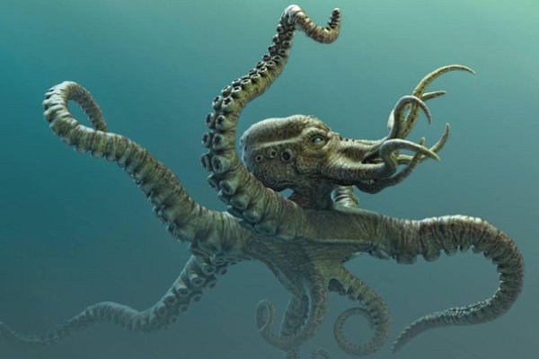 Http kraken