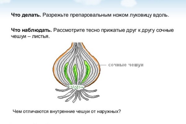 Кракен клирнет ссылка