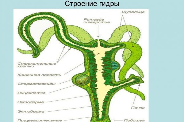 Магазин кракен даркнет сайт