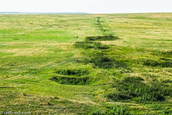 Какая сейчас ссылка на кракен